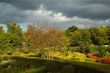 Sunlit park with storming sky