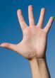 Human hand