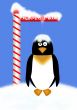 North Pole Penguin