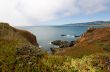 West Coast Landscape