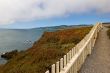 Coast Line