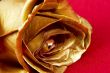 Gold rose on red background