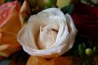 Romantic Bouquet: Three Varieties of Roses