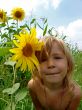 the girl in sunflowers