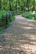Wood Trail