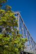 Storey Bridge and Trees
