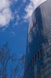 Modern Skyscraper,Tree and Clouds