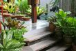 Balinese decor plants