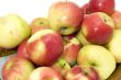 ripe apple