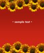 Background with sunflowers
