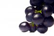 cluster of vine of dark color
