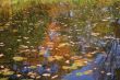 Small pond in autumn