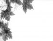 Seasonal Designs