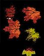 Seasonal Designs