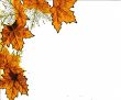 Seasonal Designs