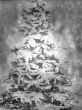 Christmas Design
