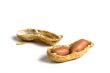 Broken peanuts