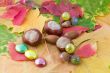 Autumn still-life