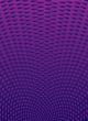 purple radiate