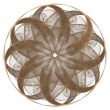 Netting Oblique