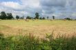 Round bales