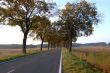 Autumn Country Road