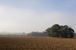 Ploughed field