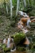 Waterfall in forest in autumn