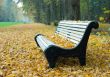 bench in a autumn park
