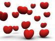 group of scarlet hearts