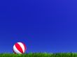 child`s ball on a grass