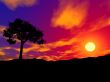 single tree