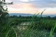sunset in a summer season