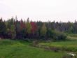 beginning of autumn