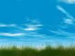 grass and cloudy sky