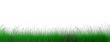 green juicy grass