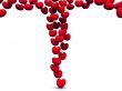 scarlet hearts