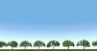 trees in the field