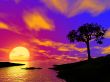single tree on sunset