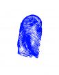 finger-print