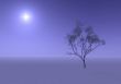 tree in misty haze
