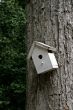 Crooked Birdhouse