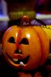 punpkin