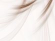 Brushed Sheer