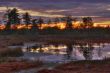 Sunrise on bogs