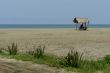 indian woman in a hut on pacific ocean