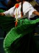 Traditional Folk Dancer
