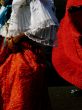 Traditional Folk Dancer