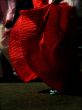 Traditional Folk Dancer
