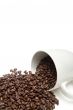 spill the beans